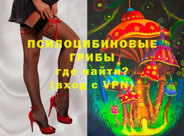 винт Алзамай